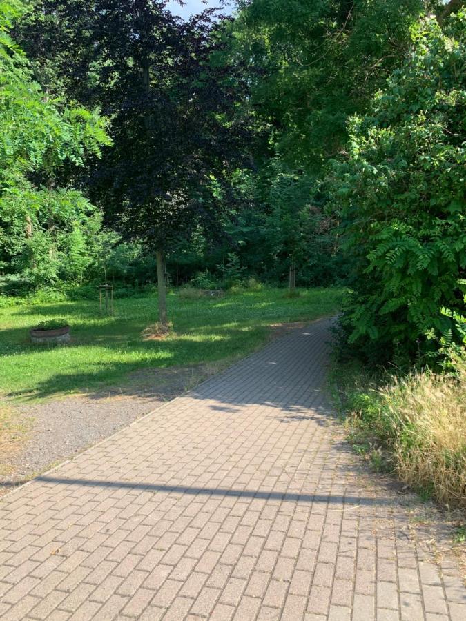 Parkhotel Schnorr Eisleben Zewnętrze zdjęcie